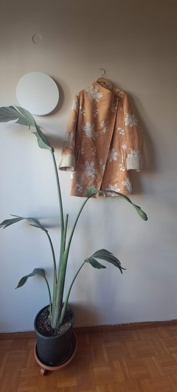 vintage suede jacket camel with fur lining