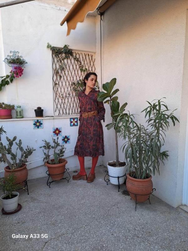 vintage paisley print midi dress in earthy tones - Image 6
